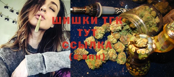 стафф Касимов
