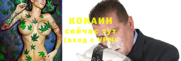 PSILOCYBIN Зеленодольск