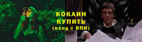 PSILOCYBIN Зеленодольск