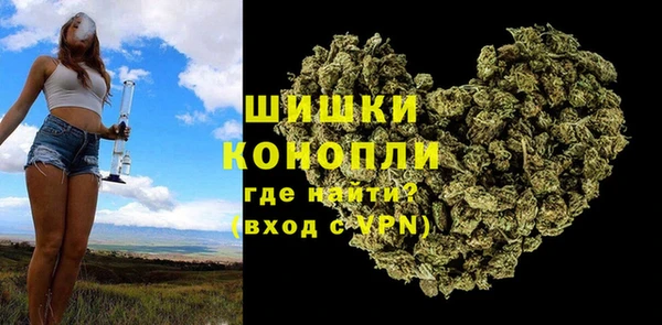 стаф Каменногорск