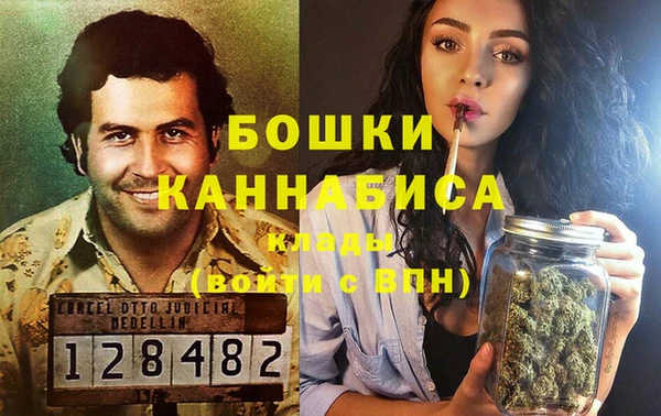 PSILOCYBIN Зеленодольск