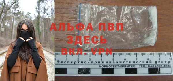 Альфа ПВП Инта