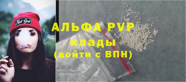 Альфа ПВП Инта