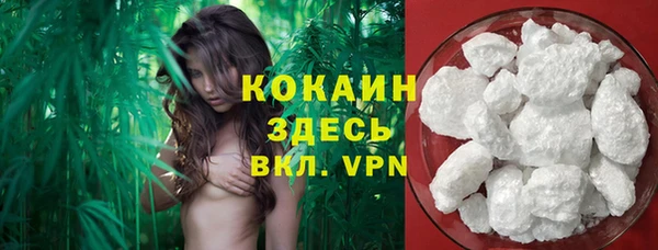 PSILOCYBIN Зеленодольск