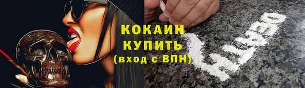 PSILOCYBIN Зеленодольск